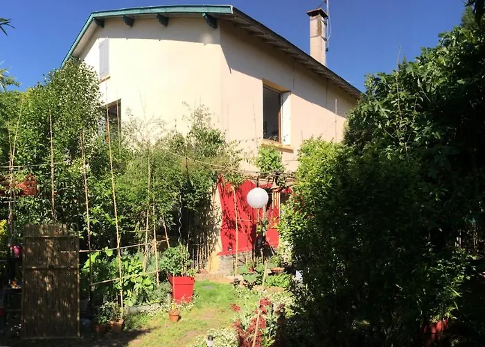 La Bulle dans le Palmier