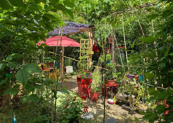 La Bulle dans le Palmier